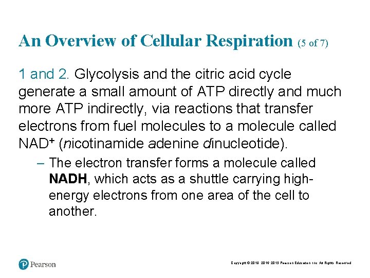 An Overview of Cellular Respiration (5 of 7) 1 and 2. Glycolysis and the