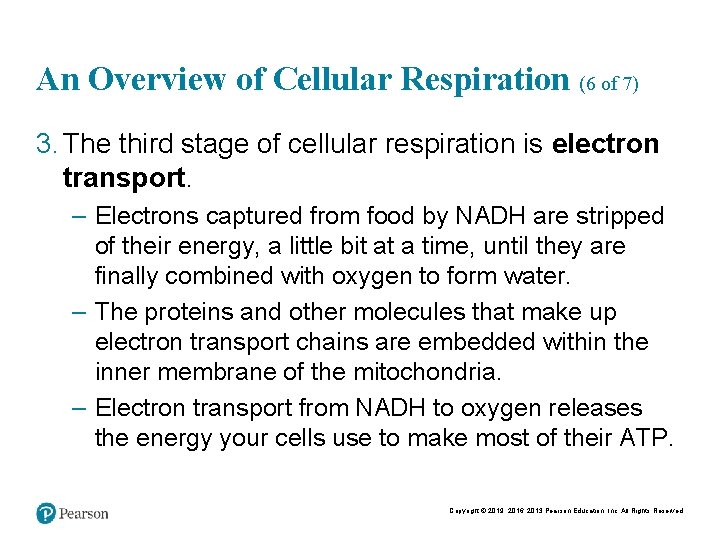 An Overview of Cellular Respiration (6 of 7) 3. The third stage of cellular