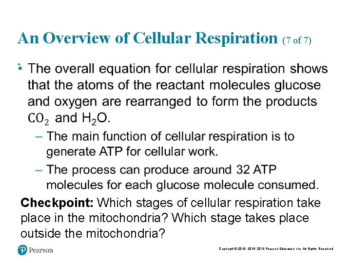 An Overview of Cellular Respiration (7 of 7) • Checkpoint: Which stages of cellular