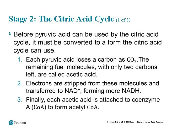 Stage 2: The Citric Acid Cycle (1 of 3) • Copyright © 2019, 2016,