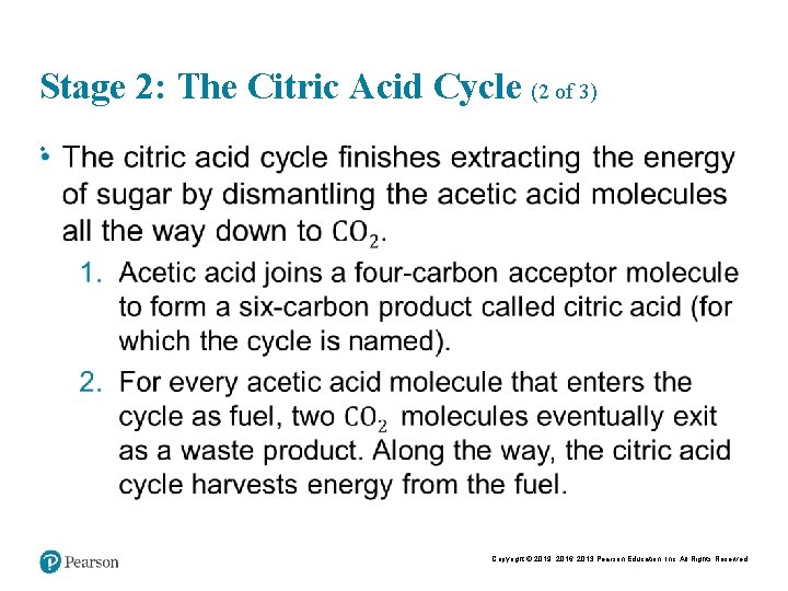 Stage 2: The Citric Acid Cycle (2 of 3) • Copyright © 2019, 2016,