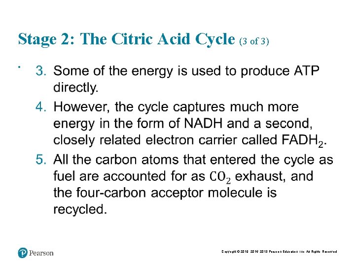 Stage 2: The Citric Acid Cycle (3 of 3) • Copyright © 2019, 2016,
