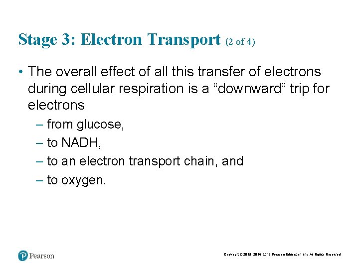 Stage 3: Electron Transport (2 of 4) • The overall effect of all this