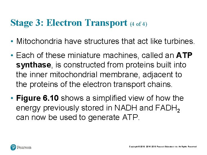 Stage 3: Electron Transport (4 of 4) • Mitochondria have structures that act like