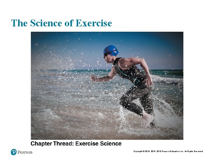 The Science of Exercise Copyright © 2019, 2016, 2013 Pearson Education, Inc. All Rights