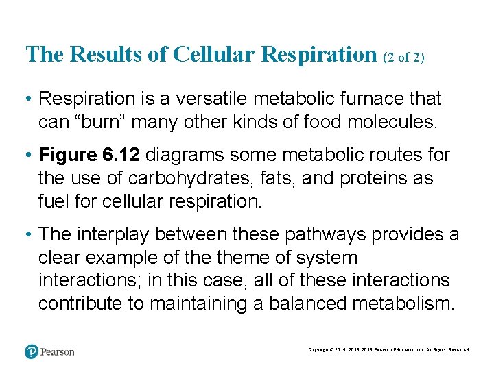 The Results of Cellular Respiration (2 of 2) • Respiration is a versatile metabolic