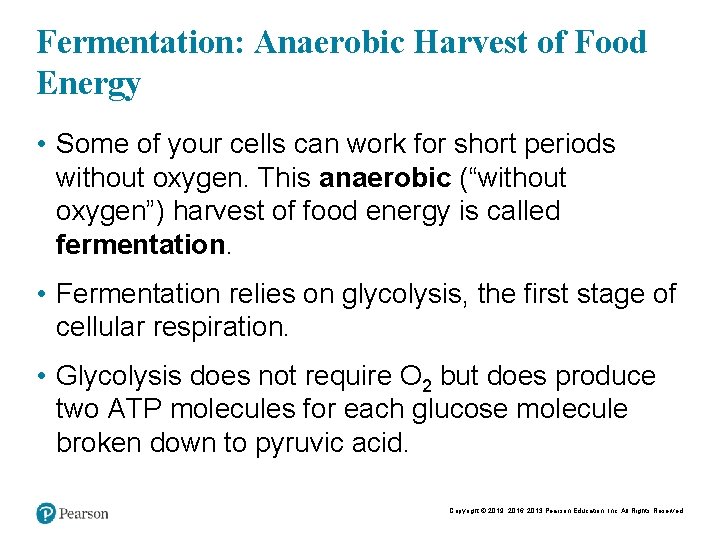 Fermentation: Anaerobic Harvest of Food Energy • Some of your cells can work for