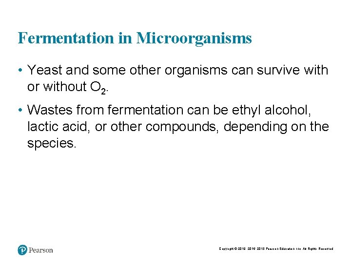 Fermentation in Microorganisms • Yeast and some other organisms can survive with or without