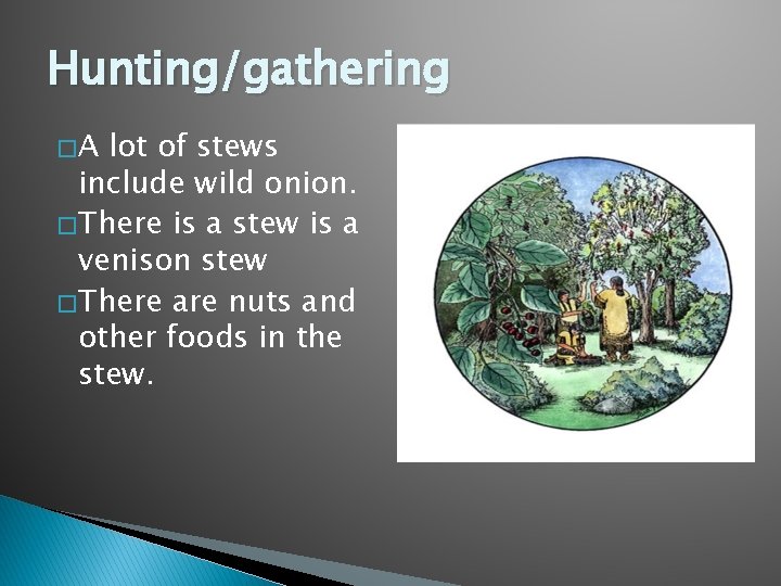 Hunting/gathering �A lot of stews include wild onion. � There is a stew is