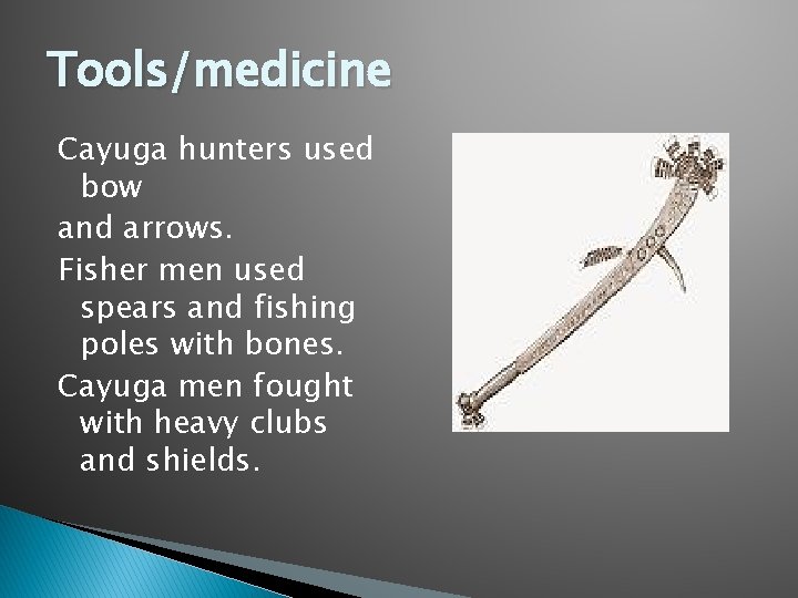 Tools/medicine Cayuga hunters used bow and arrows. Fisher men used spears and fishing poles
