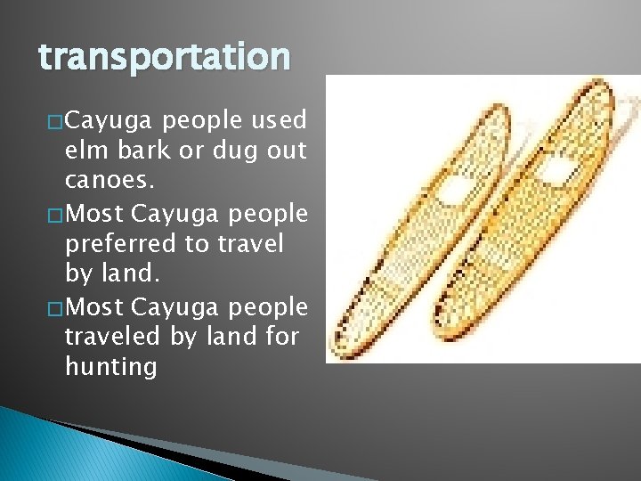 transportation � Cayuga people used elm bark or dug out canoes. � Most Cayuga