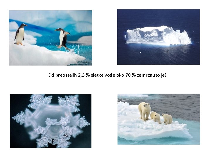 Od preostalih 2, 5 % slatke vode oko 70 % zamrznuto je! 