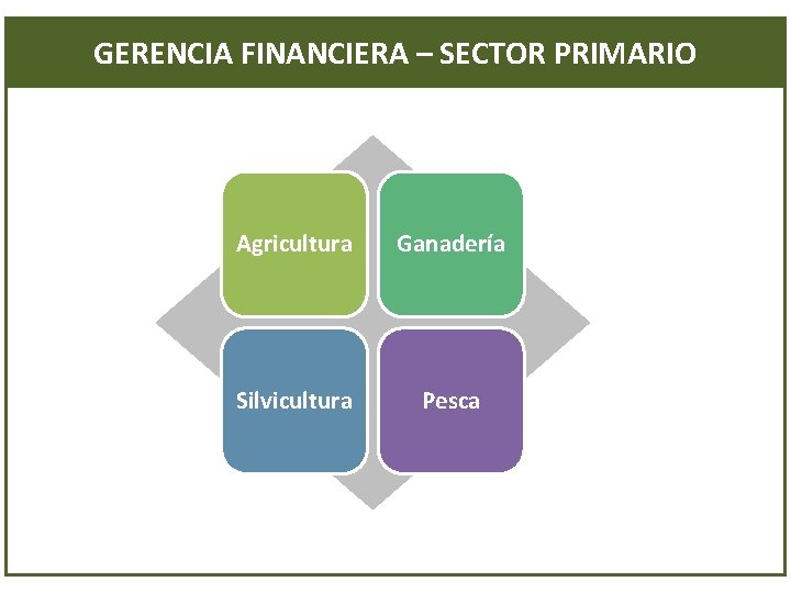 GERENCIA FINANCIERA – SECTOR PRIMARIO Agricultura Ganadería Silvicultura Pesca 