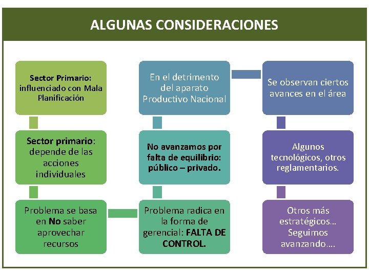 ALGUNAS CONSIDERACIONES Sector Primario: influenciado con Mala Planificación En el detrimento del aparato Productivo