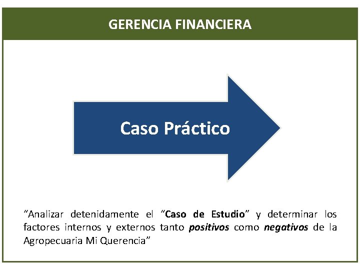 GERENCIA FINANCIERA Caso Práctico “Analizar detenidamente el “Caso de Estudio” y determinar los factores