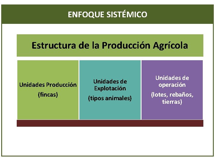 ENFOQUE SISTÉMICO Estructura de la Producción Agrícola Unidades Producción (fincas) Unidades de Explotación (tipos