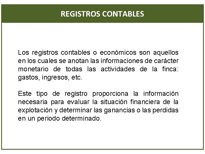 REGISTROS CONTABLES Los registros contables o económicos son aquellos en los cuales se anotan