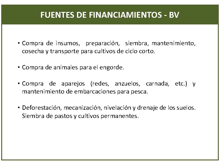 FUENTES DE FINANCIAMIENTOS - BV • Compra de insumos, preparación, siembra, mantenimiento, cosecha y