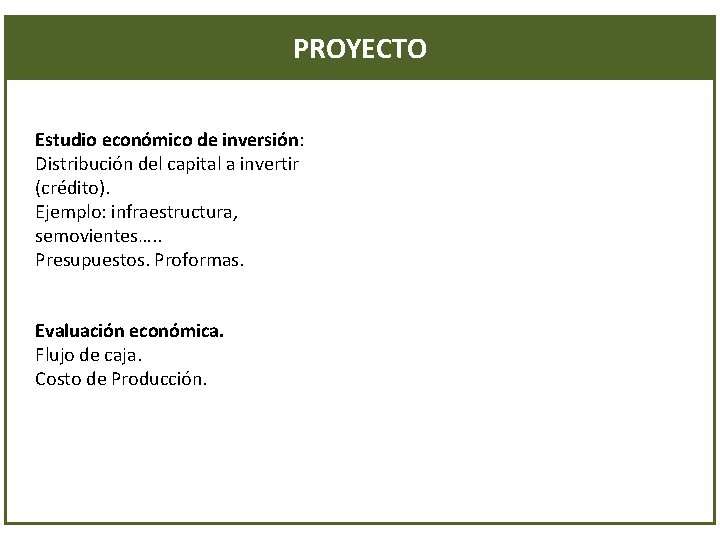 PROYECTO Estudio económico de inversión: Distribución del capital a invertir (crédito). Ejemplo: infraestructura, semovientes….