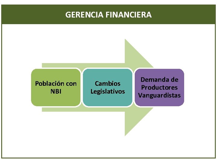 GERENCIA FINANCIERA Población con NBI Cambios Legislativos Demanda de Productores Vanguardistas 