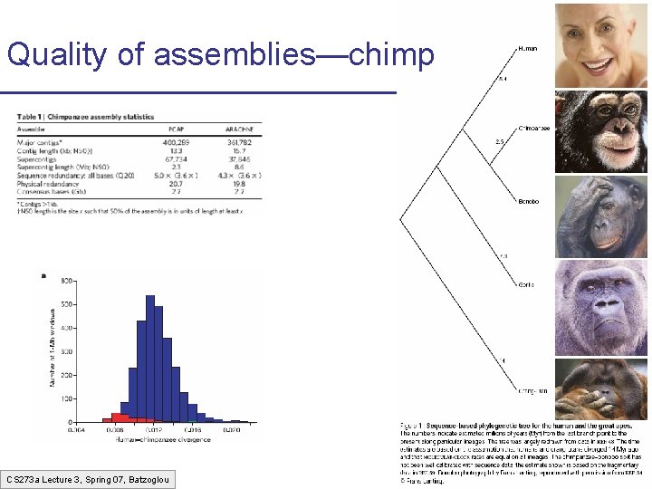 Quality of assemblies—chimp CS 273 a Lecture 3, Spring 07, Batzoglou Quality of assemblies—chimp CS 273 a Lecture 3, Spring 07, Batzoglou