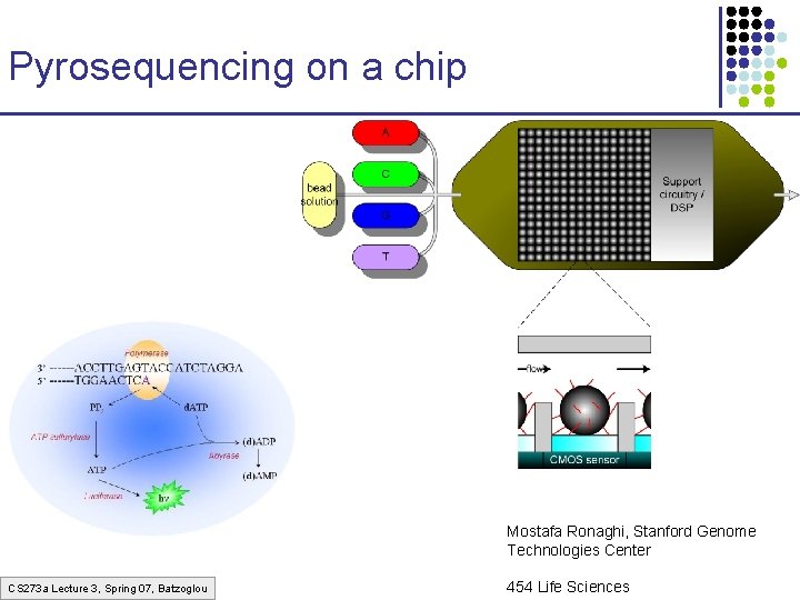 Pyrosequencing on a chip Mostafa Ronaghi, Stanford Genome Technologies Center CS 273 a Lecture Pyrosequencing on a chip Mostafa Ronaghi, Stanford Genome Technologies Center CS 273 a Lecture