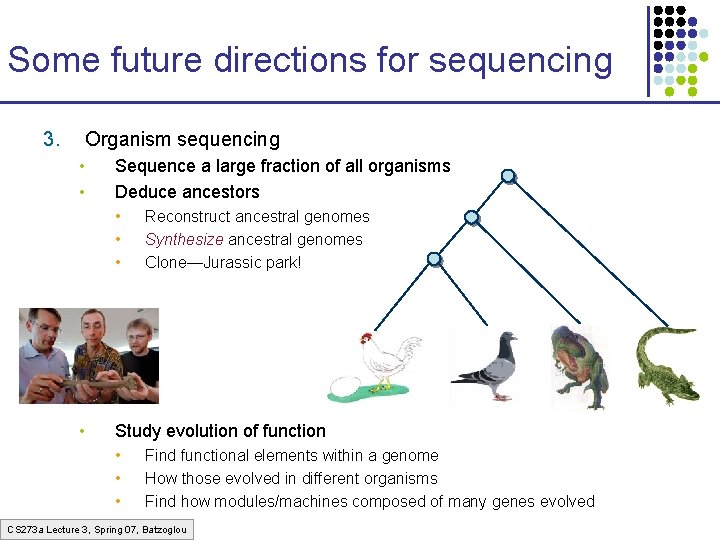Some future directions for sequencing 3. Organism sequencing • • Sequence a large fraction Some future directions for sequencing 3. Organism sequencing • • Sequence a large fraction