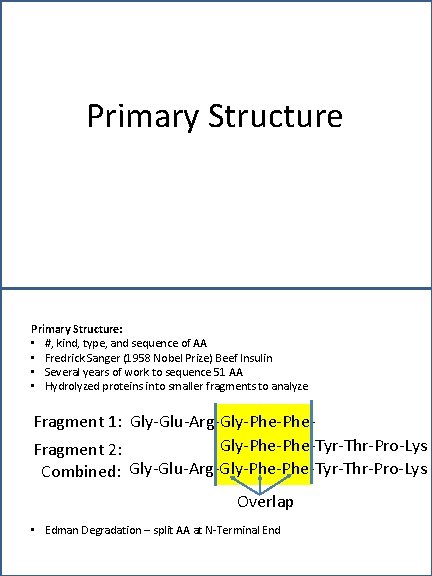 Primary Structure: • #, kind, type, and sequence of AA • Fredrick Sanger (1958