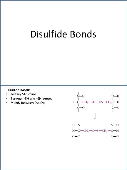 Disulfide Bonds Disulfide bonds: • Tertiary Structure • Between -SH and –SH groups •
