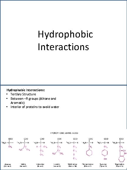 Hydrophobic Interactions: • Tertiary Structure • Between –R groups (Alkane and Aromatic) • Interior