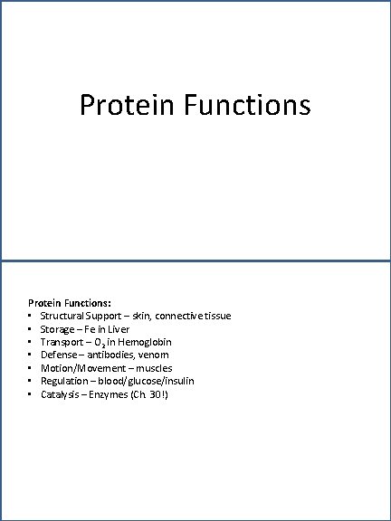Protein Functions: • Structural Support – skin, connective tissue • Storage – Fe in