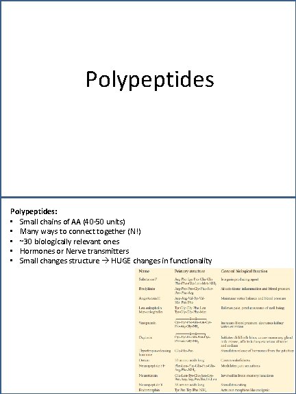 Polypeptides: • Small chains of AA (40 -50 units) • Many ways to connect