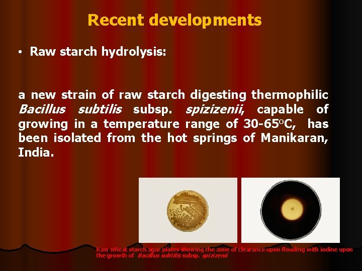 Recent developments • Raw starch hydrolysis: a new strain of raw starch digesting thermophilic