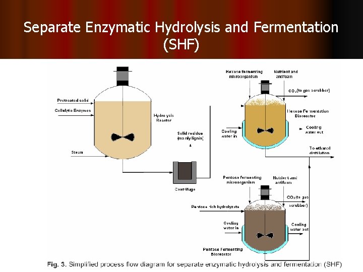 Separate Enzymatic Hydrolysis and Fermentation (SHF) 