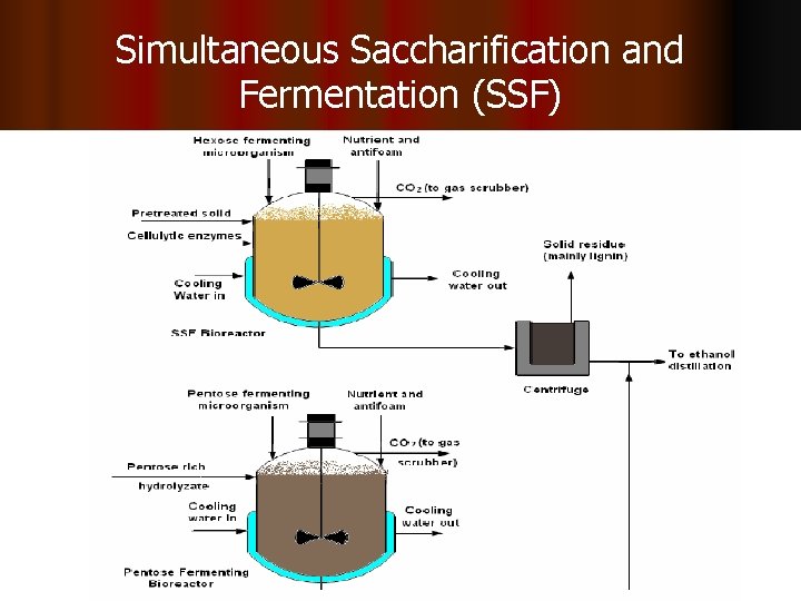 Simultaneous Saccharification and Fermentation (SSF) 
