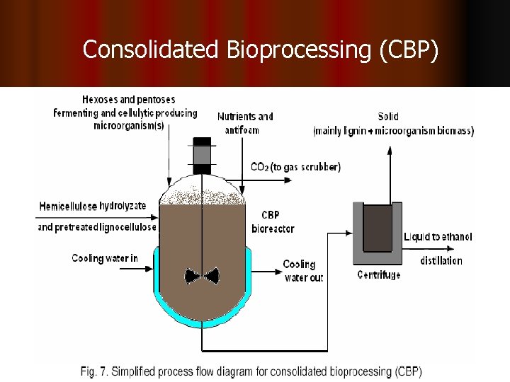 Consolidated Bioprocessing (CBP) 