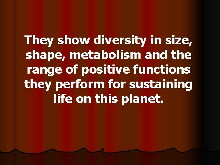 They show diversity in size, shape, metabolism and the range of positive functions they