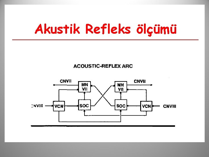 Akustik Refleks ölçümü 