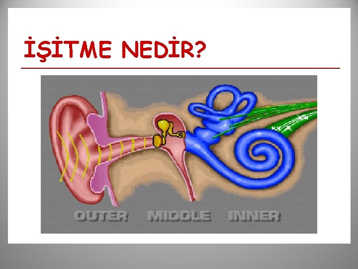 İŞİTME NEDİR? 