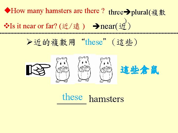  How many hamsters are there ? three plural(複數 ) Is it near or