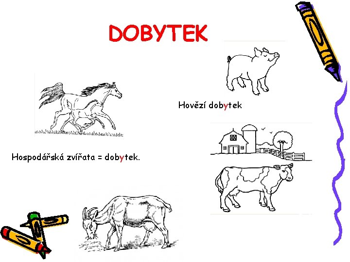 DOBYTEK Hovězí dobytek Hospodářská zvířata = dobytek. 