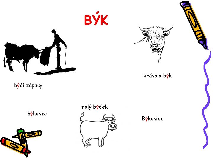 BÝK kráva a býk býčí zápasy býkovec malý býček Býkovice 