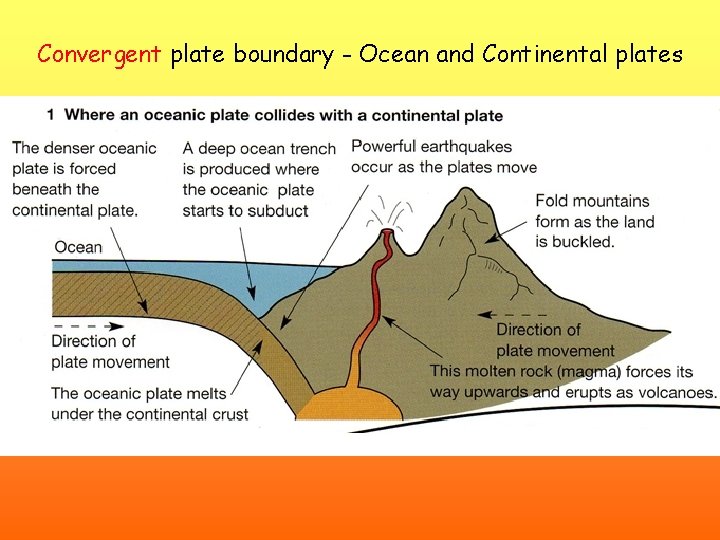 Convergent plate boundary - Ocean and Continental plates 