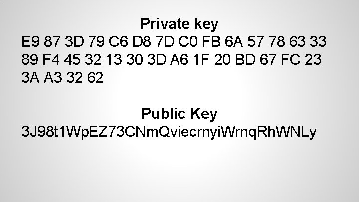 Private key E 9 87 3 D 79 C 6 D 8 7 D