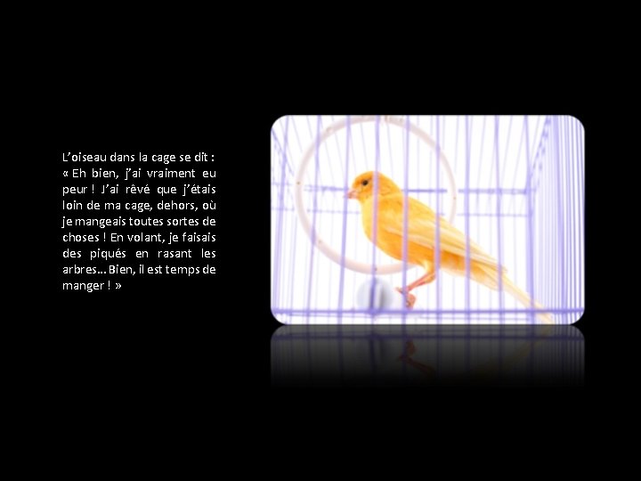 L’oiseau dans la cage se dit : « Eh bien, j’ai vraiment eu peur