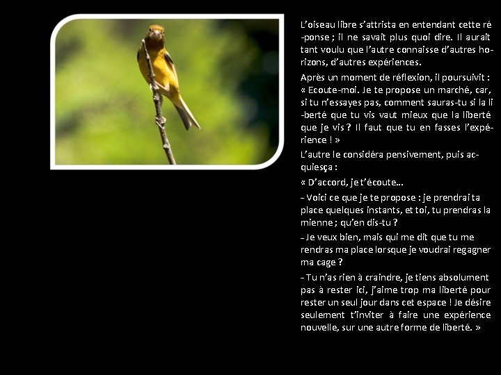 L’oiseau libre s’attrista en entendant cette ré -ponse ; il ne savait plus quoi