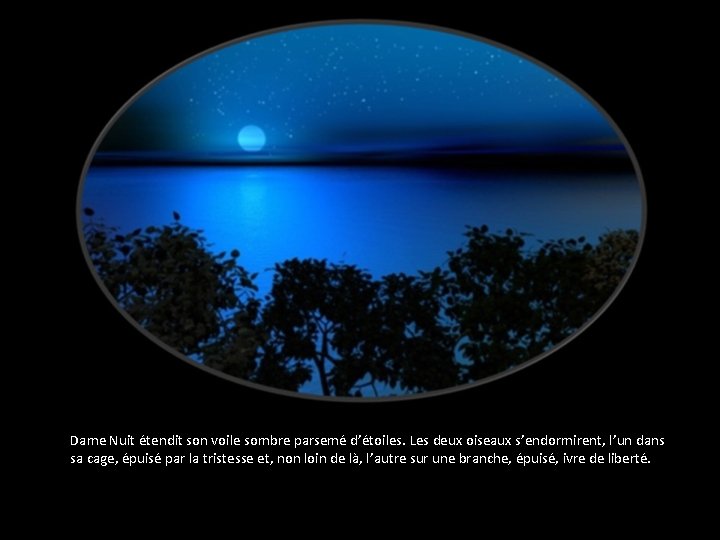 Dame Nuit étendit son voile sombre parsemé d’étoiles. Les deux oiseaux s’endormirent, l’un dans