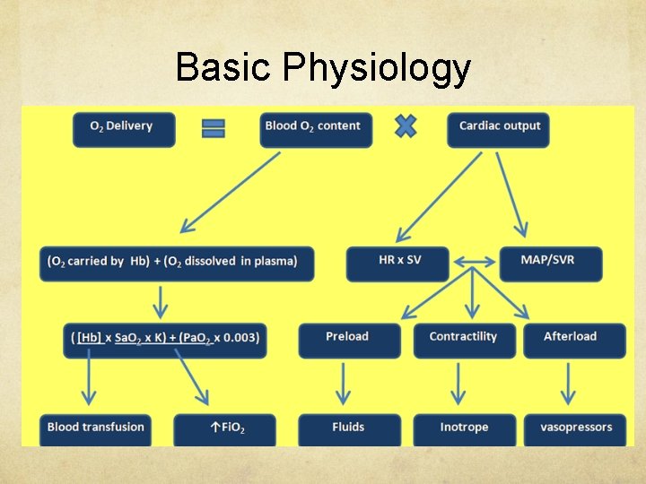 Basic Physiology 