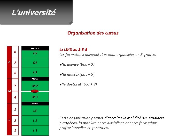 L’université Organisation des cursus Doctorat D 8 D 3 7 D 2 6 D