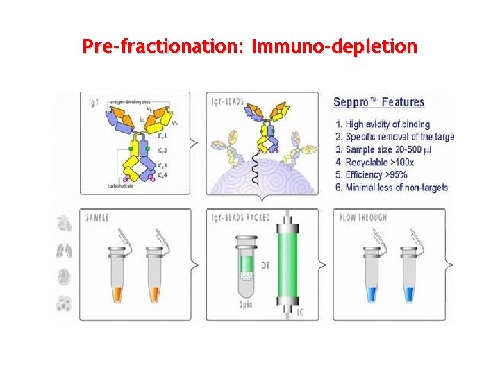 Pre-fractionation: Immuno-depletion 